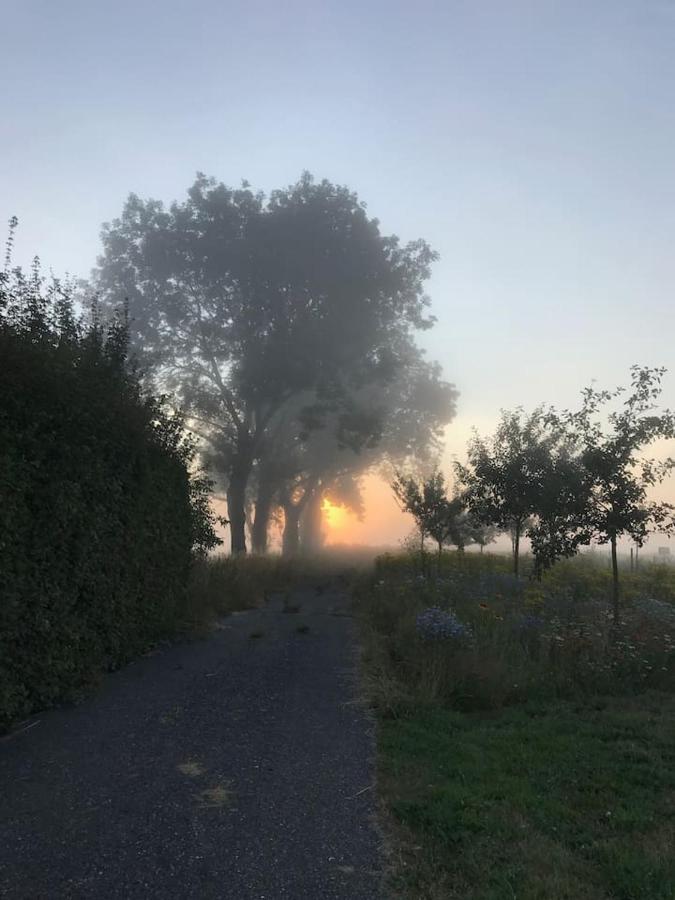 Zomerdijk-Inn Zuid Wanneperveen 외부 사진